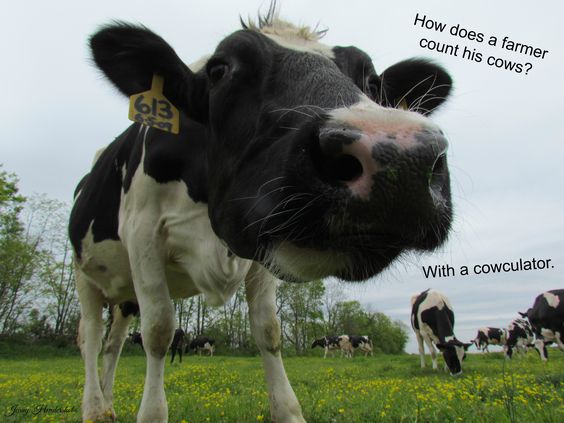cowjoke6